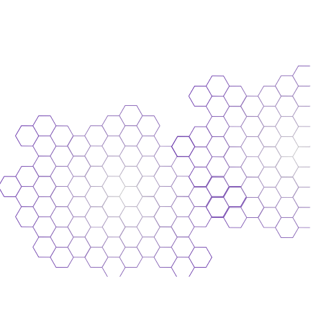 HONEY COMB 1